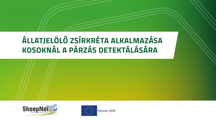 Állatjelölő zsírkréta alkalmazása kosoknál a párzás detektálására